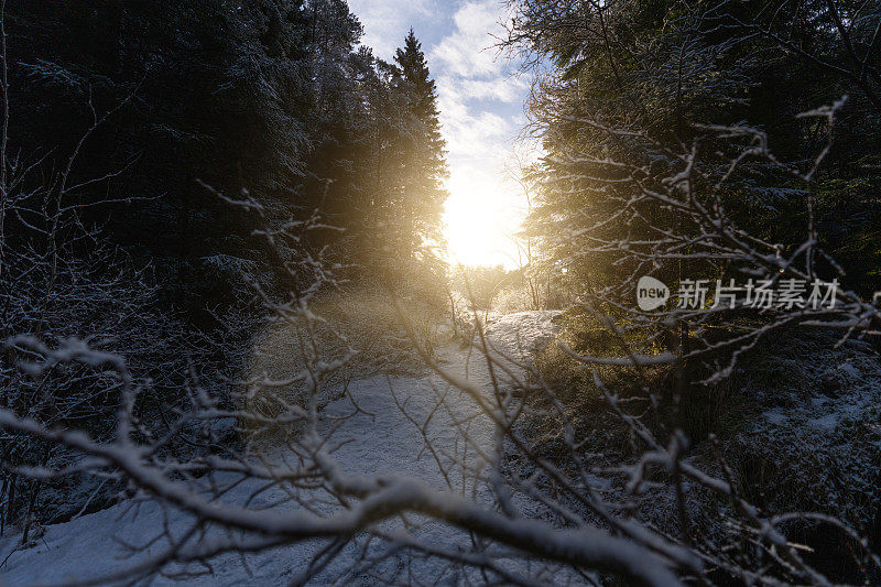 男子户外冒险:冬天在挪威的雪徒步旅行