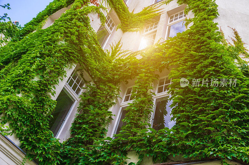 垂直花园，绿色建筑