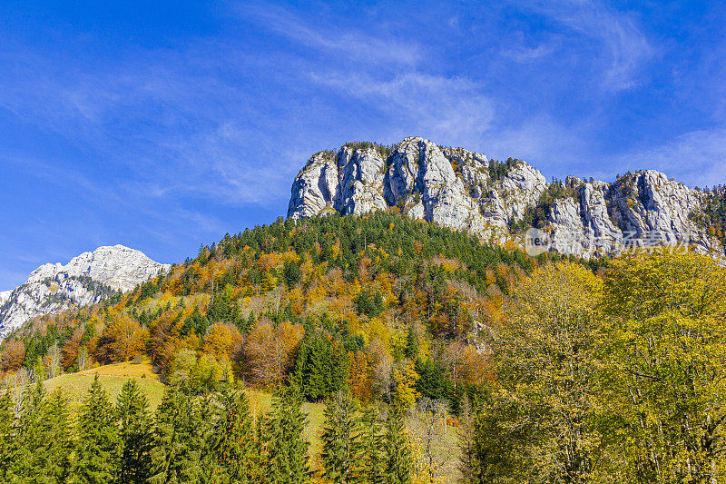 秋天的黄绿色山脉