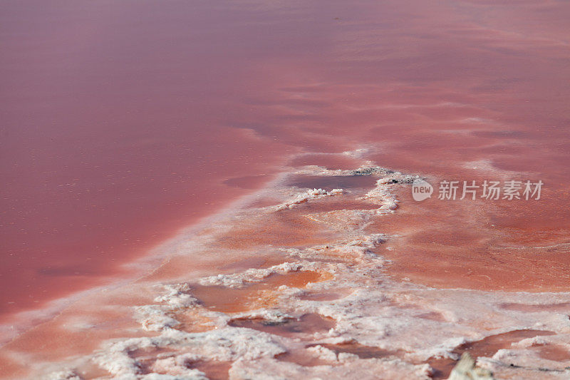 粉红色咸咸的湖底有脚印。治疗泥浆，替代医学