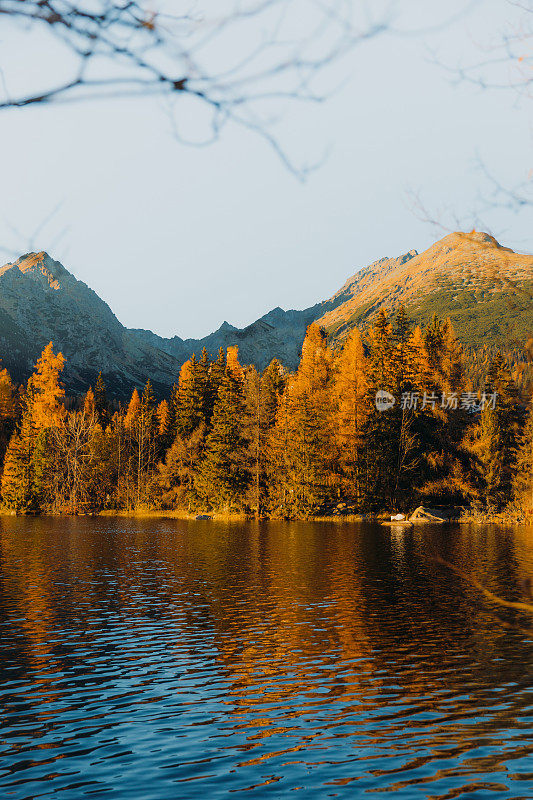 在树林里的山湖边欣赏秋天的日落