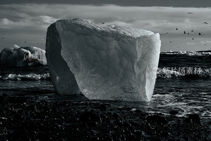 黑色沙滩上的冰山Jökulsarlon冰岛泻湖黑色和白色