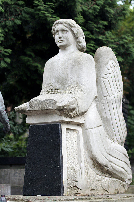 利沃夫的利沃夫斯基公墓的一座古老雕像，