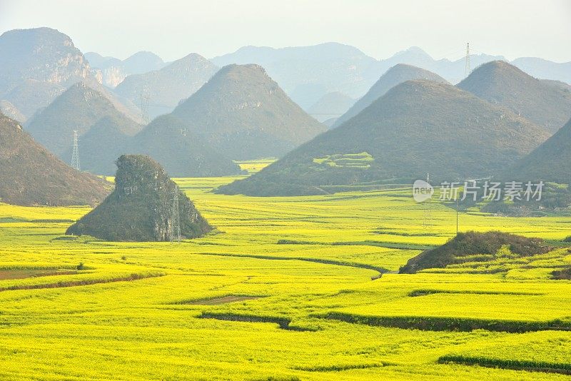 美丽的田野，在云南省，中国