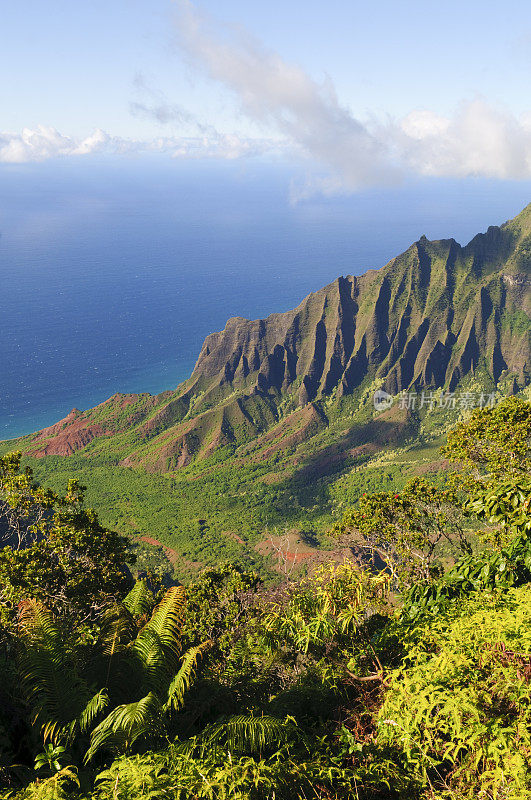 卡拉劳瞭望台和纳帕利海岸