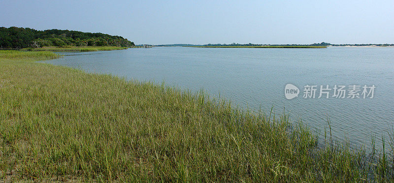 佛罗里达湿地