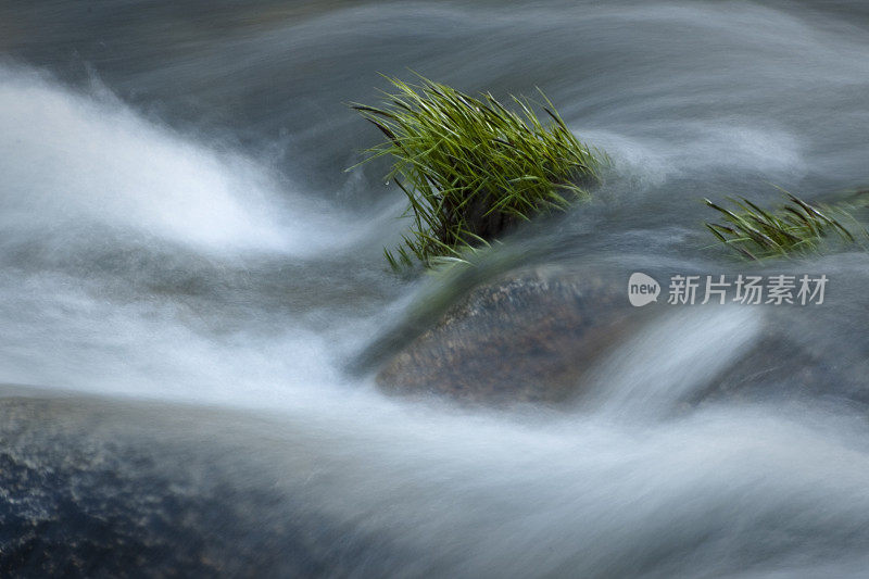 流水,莎草