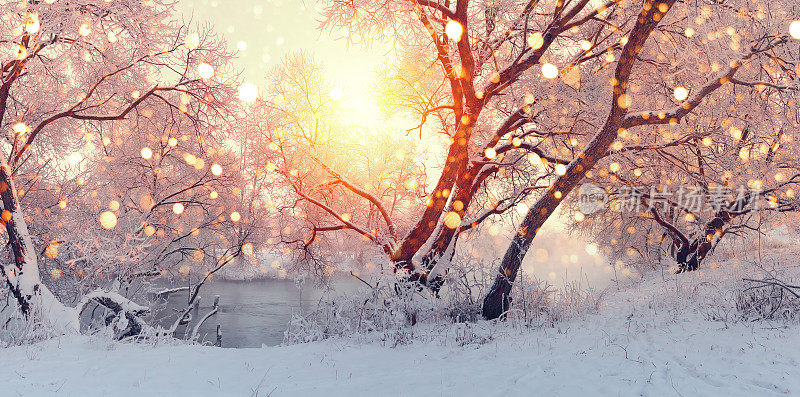 阳光明媚的圣诞节的早晨。太阳照射雪花。