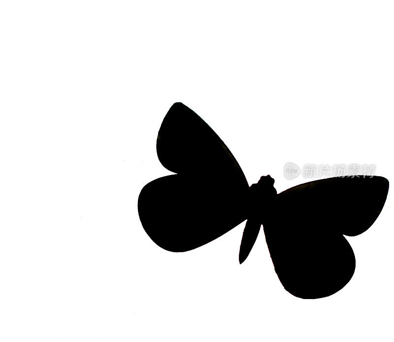 蝴蝶的形状