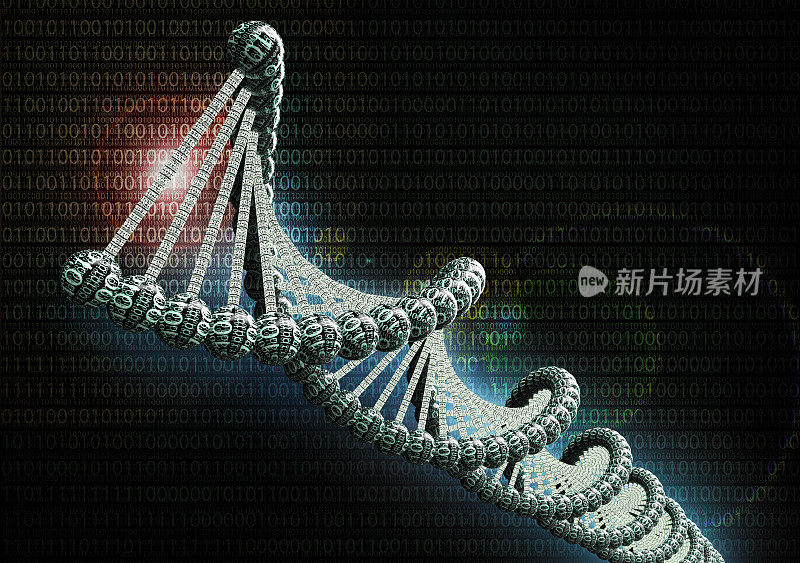 由二进制代码组成的双螺旋DNA