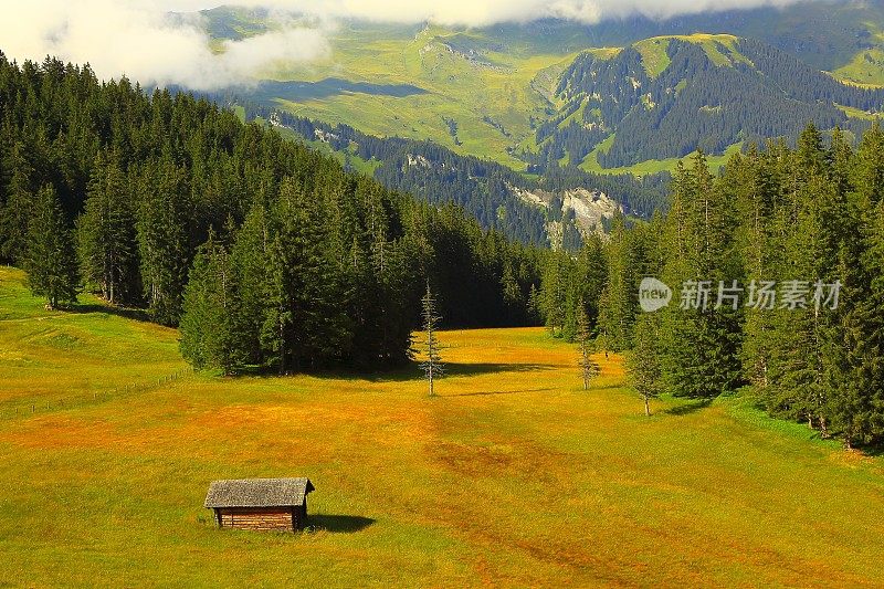 田园诗般的草地，孤独的巴恩，上恩加丁山谷:瑞士阿尔卑斯山日出