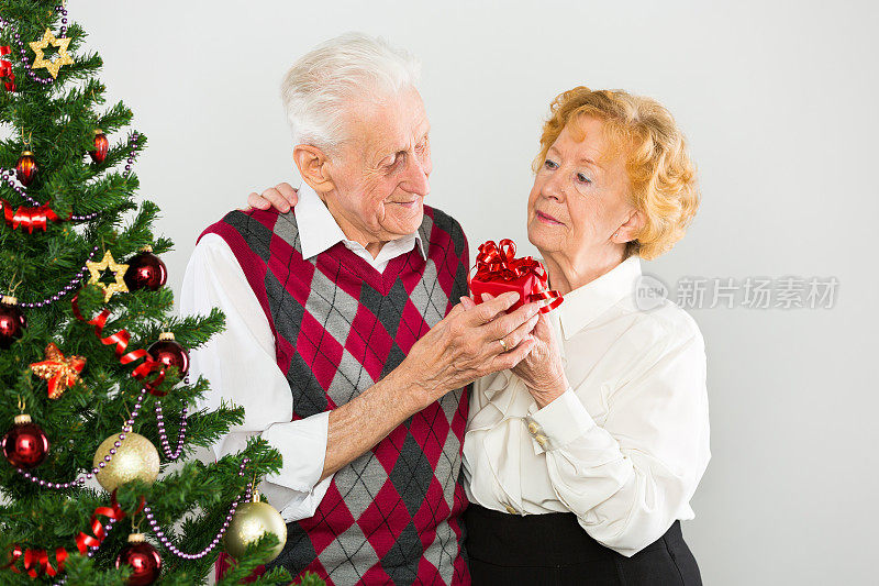 老夫妇和圣诞树