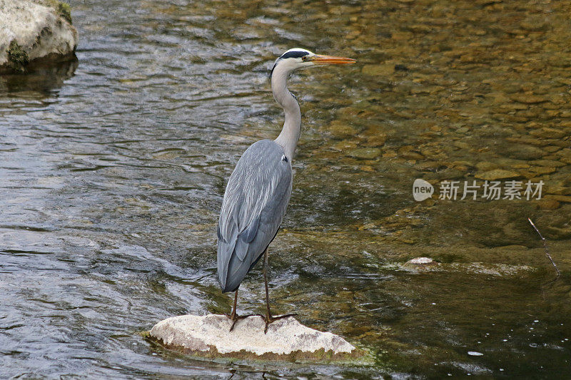 准备着陆