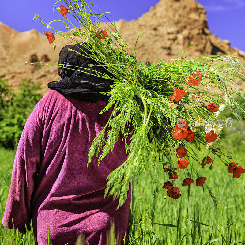 在花园里干活的摩洛哥妇女