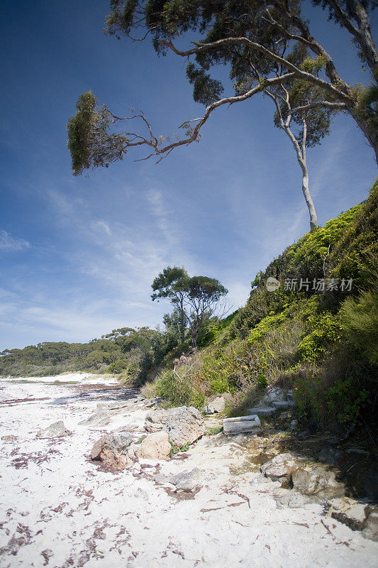 杰维斯湾，海洋景观