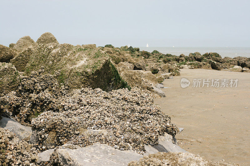 比利时纽波特海边的岩石