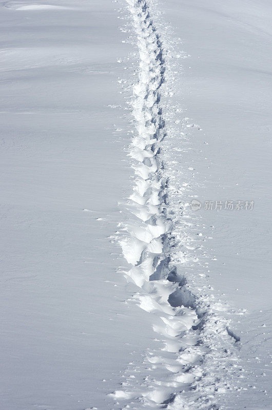 深深的雪地上的脚印