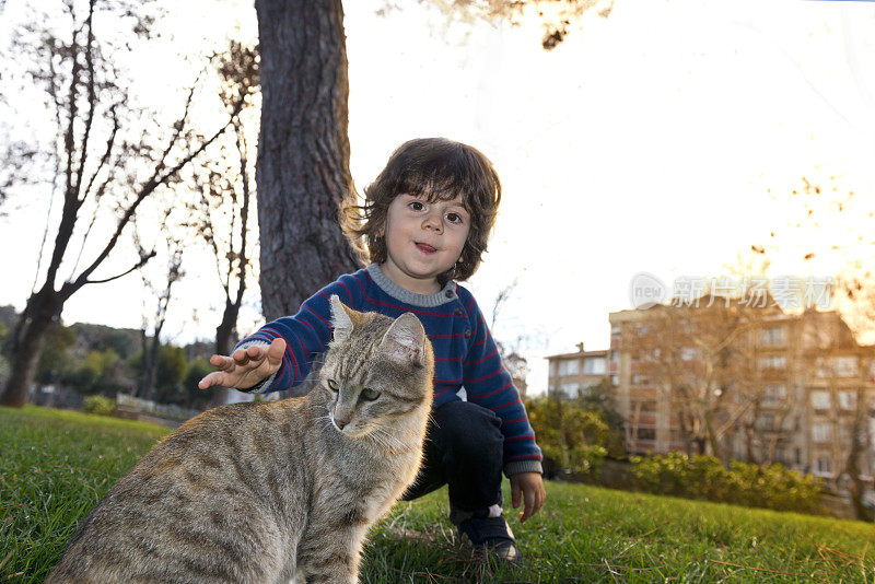 猫的男孩