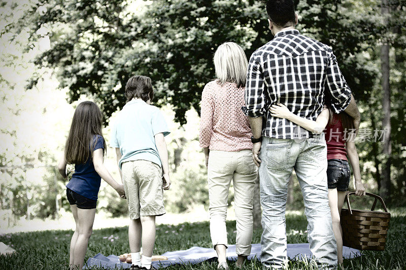 夏天一家人喜欢在户外野餐。公园。后面的观点。