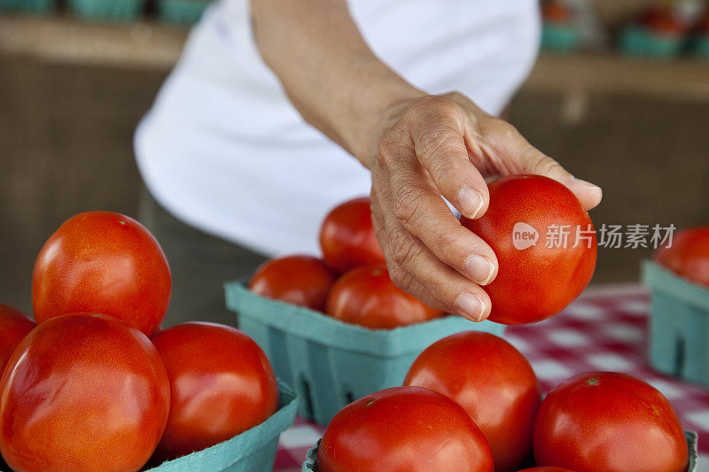 一个女人的手在农场的摊位上采摘新鲜的西红柿