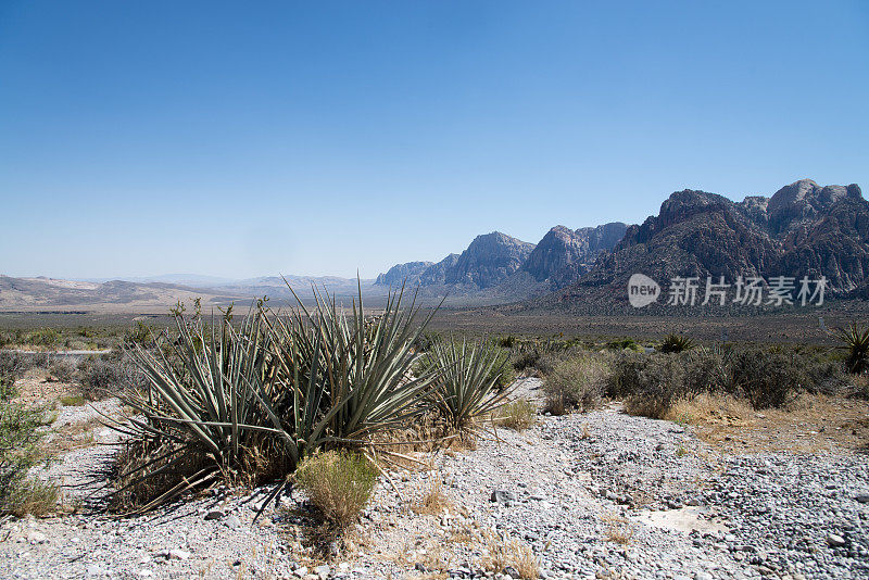 红岩峡谷，内华达州