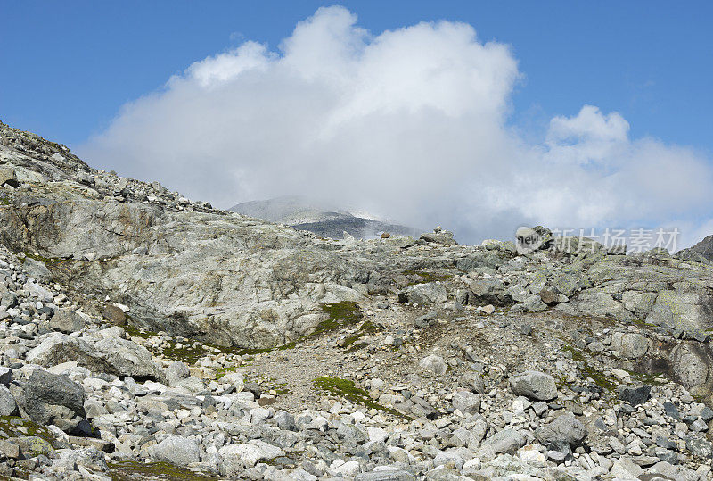 在挪威山脉的林木线上徒步旅行