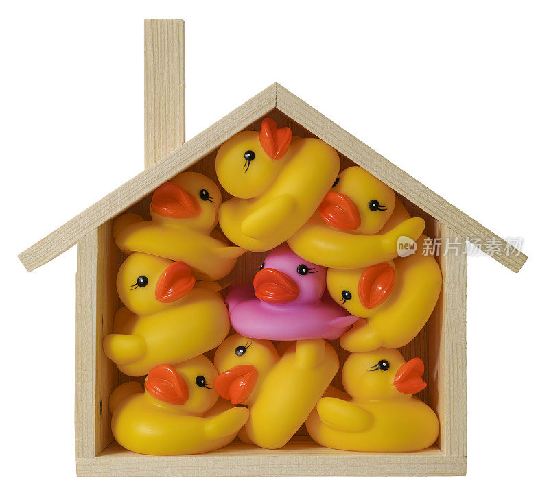 许多黄色的橡皮鸭和一只紫色的鸭子，被压在一个概念性的木房子里。