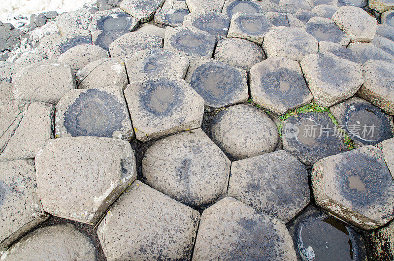 近距离观察六角形玄武岩火山岩形成的北爱尔兰在巨人堤在秋天的一天