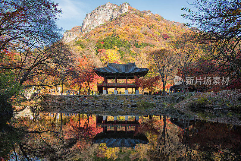 韩国的秋景