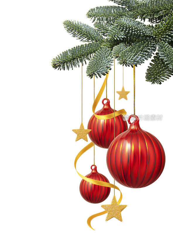 红球挂在圣诞树的树枝上
