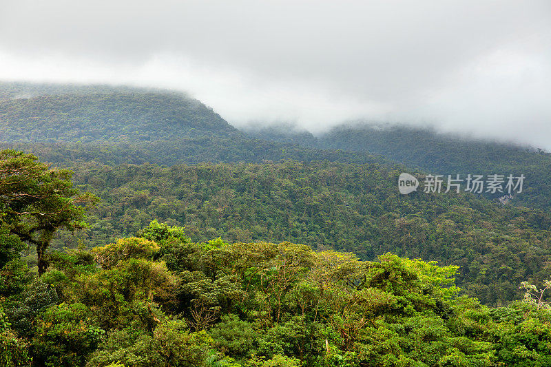 哥斯达黎加特纳里奥火山和塞莱斯特地区郁郁葱葱的绿色雨林