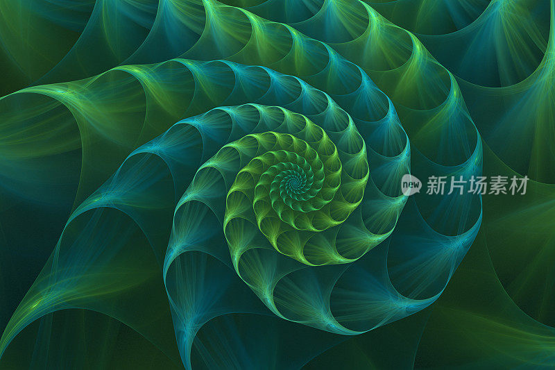 抽象分形蓝绿色鹦鹉螺海贝