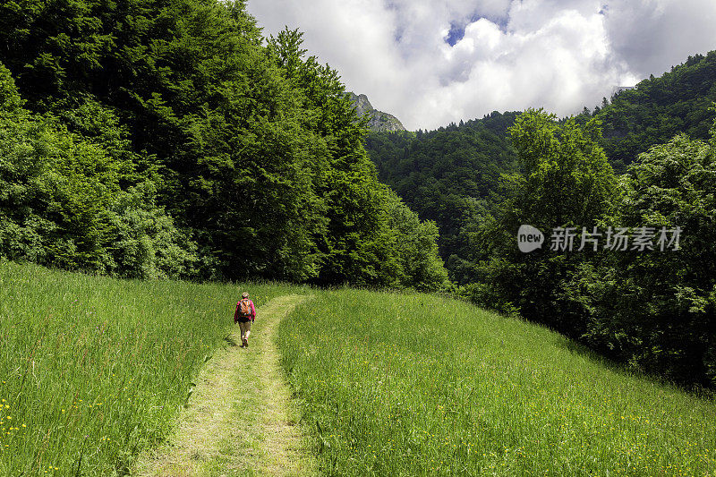 年长妇女徒步旅行朱利安阿尔卑斯山在春天，Primorska，斯洛文尼亚，欧洲