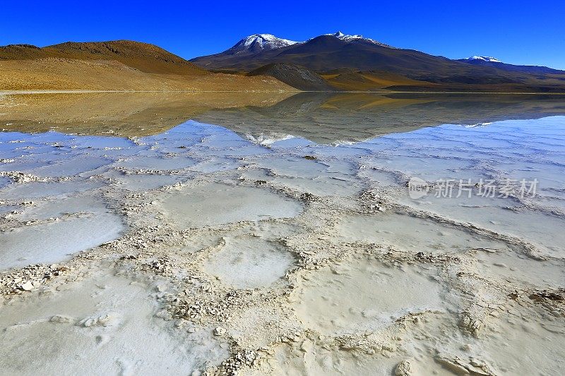 拉古纳-图亚克托湖和Miniques火山-绿松石湖盐反射和田园般的阿塔卡马沙漠，火山景观全景-圣佩德罗德阿塔卡马，智利，Bolívia和阿根廷边境