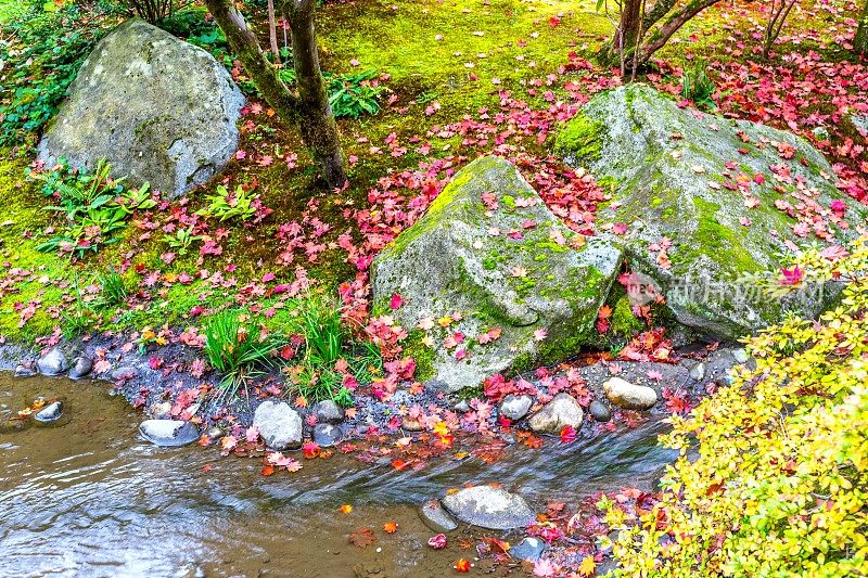 秋天的日本花园