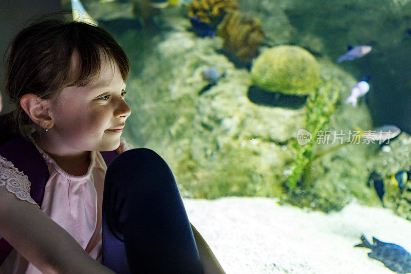 可爱的小女孩在大水族馆里看海底生物