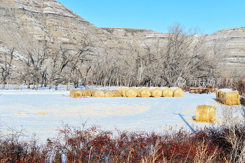 冬季，加拿大阿尔伯塔省的干草堆和农田