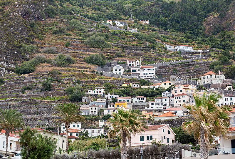 马德拉岛莫尼兹港附近西海岸的农田和房屋。葡萄牙