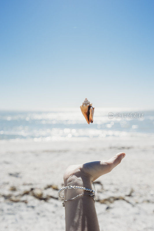 在海滩上玩贝壳