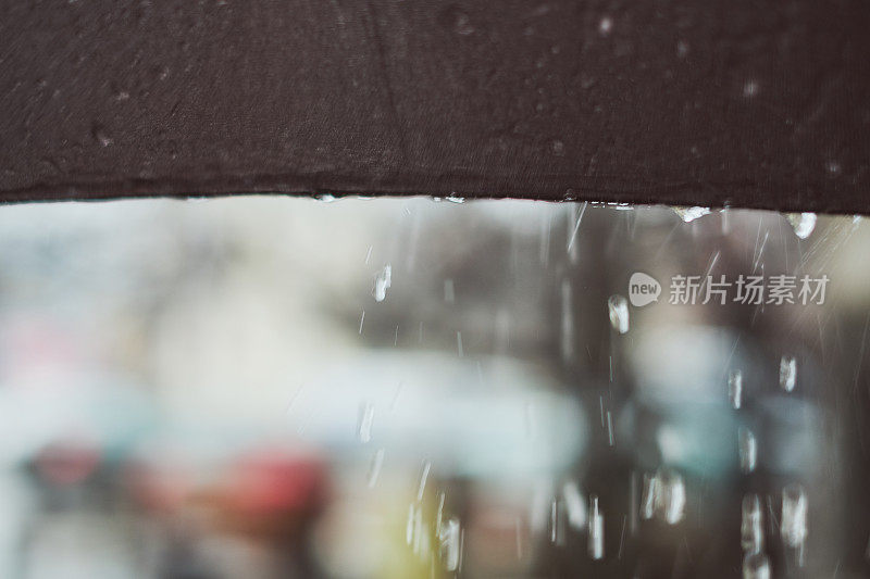 下雨的春日下了一把伞