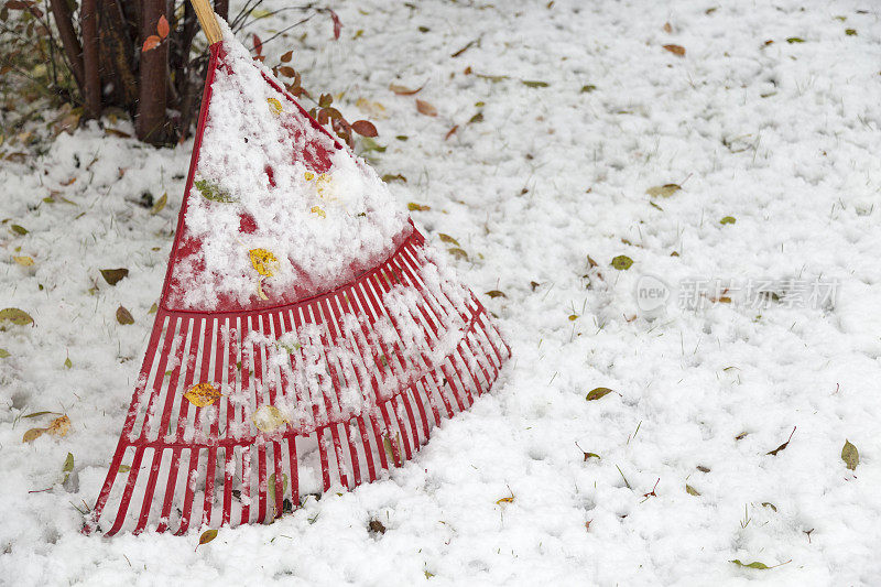 初冬-红耙上有雪