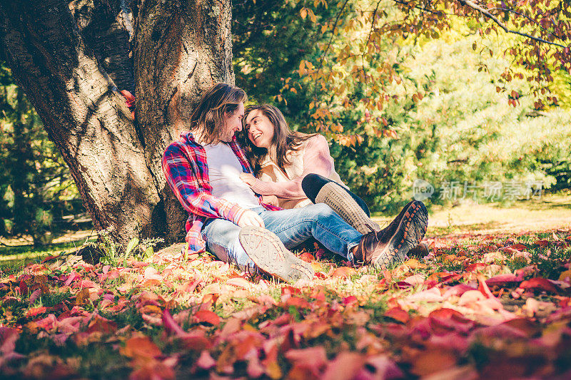 秋天五彩缤纷的季节和树林里浪漫的时刻