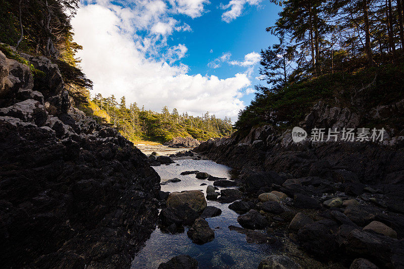 太平洋西北岩质海岸