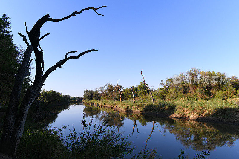博茨瓦纳林波波河上的清晨