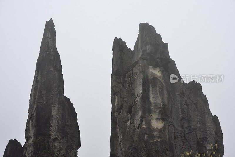 岩溶石头森林