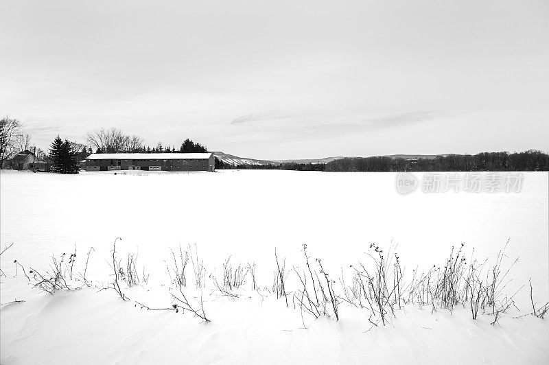 旧谷仓横跨积雪覆盖的玉米地