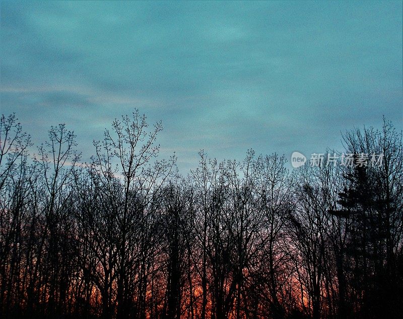 版权免费照片-唤醒美丽-太阳开始上升到天空-鲜艳的颜色照亮天际线-一个完美的黎明愉悦我的感官-颜色画在今天早上的天空-你完美的自然背景为媒体项目-乡村景色
