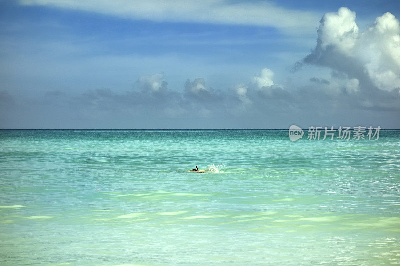 浮潜是加勒比海的旅游活动之一。古巴。