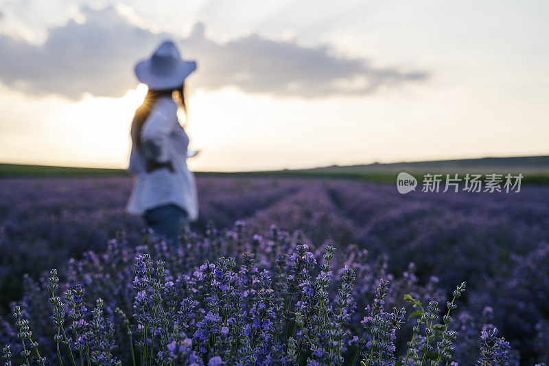 现代农妇走在她的薰衣草田在夏天，小型企业和投资，农业职业。