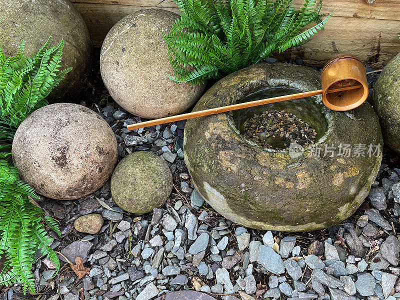特写图像的竹勺铺设在充满日本水盆地，巨石和蕨类植物，提高的观点